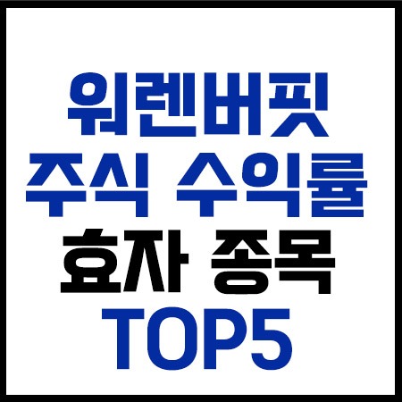 워렌버핏_TOP5