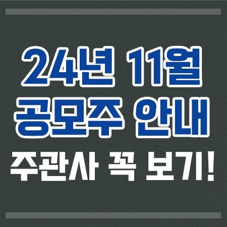 24년 11월공모주안내