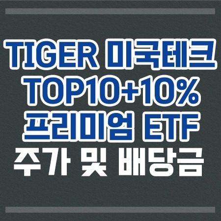 tiger미국테크top10