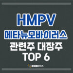 HMPV 관련주 메타뉴모바이러스 대장주